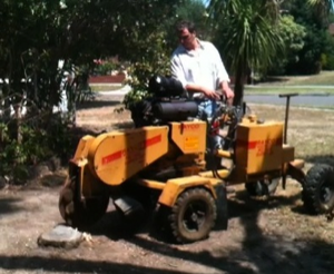 Image of Mario using the stump ginder an Yukka stump.